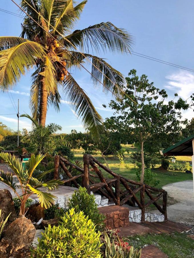 Michaels Homestay - Farm Villa Nr Patar Beach & Bolinao Falls Extérieur photo